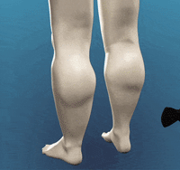 Nmes Nooro Wowhealth Moyess TotalBodyMassager