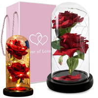 Lichterzauber Rose in Glas - Waagemann