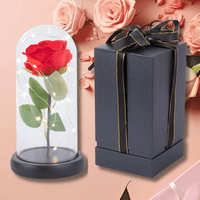 Lichterzauber Rose in Glas - Waagemann