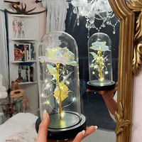 Lichterzauber Rose in Glas - Waagemann