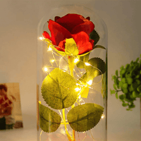 Lichterzauber Rose in Glas - Waagemann
