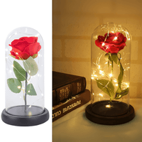 Lichterzauber Rose in Glas - Waagemann