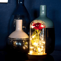 Lichterzauber Rose in Glas - Waagemann