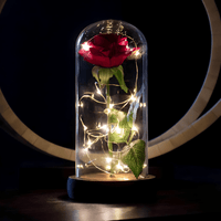 Lichterzauber Rose in Glas - Waagemann