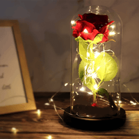Lichterzauber Rose in Glas - Waagemann