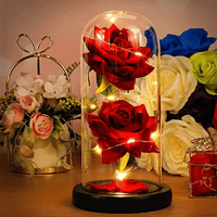 Lichterzauber Rose in Glas - Waagemann