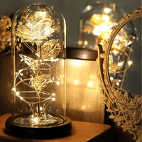 Lichterzauber Rose in Glas - Waagemann