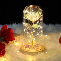 Märchenhafte Funkelrose™ im Glas - Waagemann