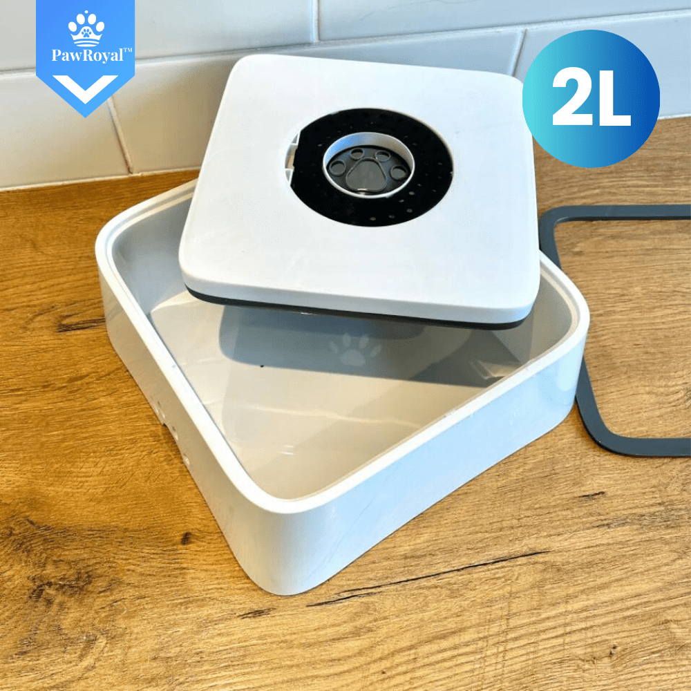 PawRoyal™ Auslaufsicherer Wassernapf 2L mit Aktivkohle Filter - Waagemann