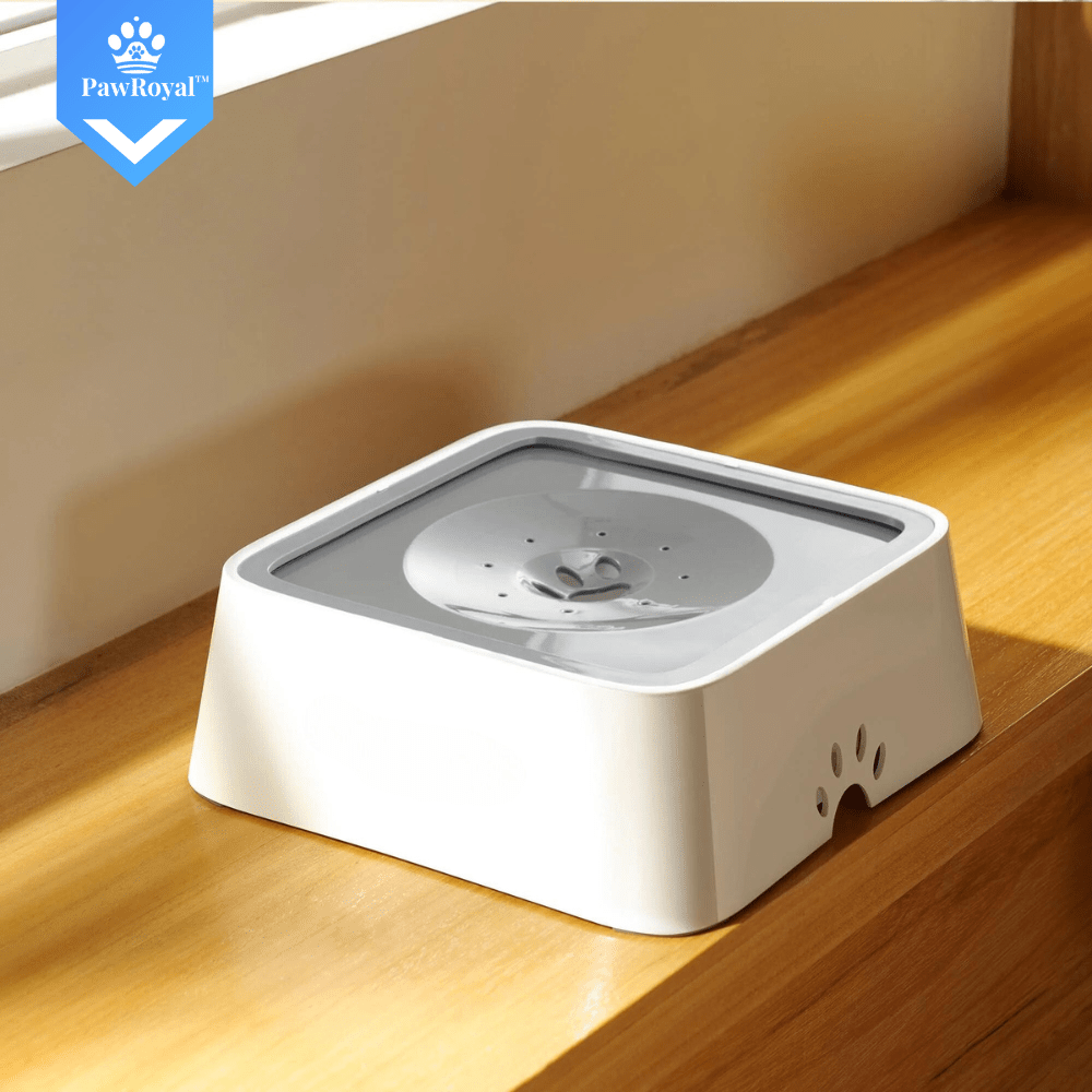 PawRoyal™ Auslaufsicherer Wassernapf 2L mit Aktivkohle Filter - Waagemann