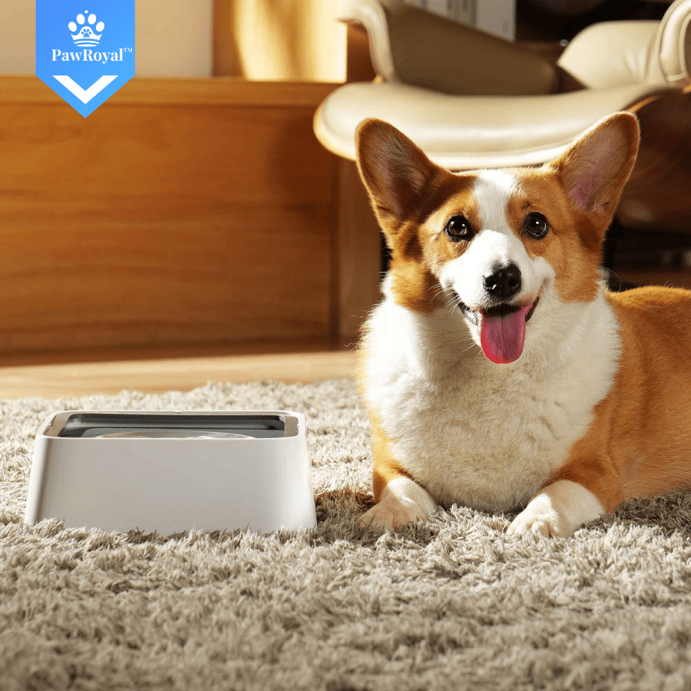 PawRoyal™ Auslaufsicherer Wassernapf 2L mit Aktivkohle Filter - Waagemann
