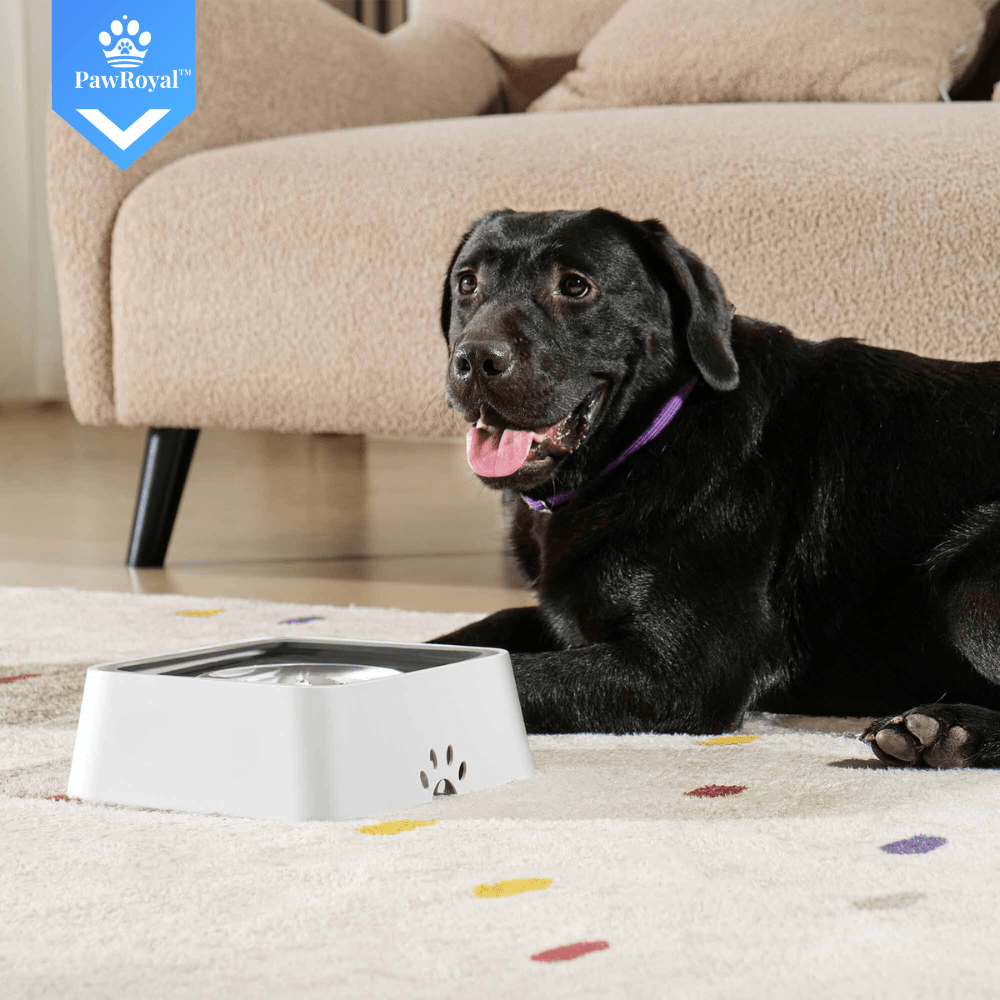 PawRoyal™ Auslaufsicherer Wassernapf 2L mit Aktivkohle Filter - Waagemann
