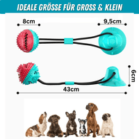 5 IN 1 Multifunktionales Hunde-Saugnapf-Spielzeug & Trainer - Waagemann