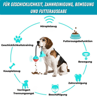 5 IN 1 Multifunktionales Hunde-Saugnapf-Spielzeug & Trainer - Waagemann