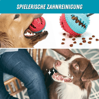 5 IN 1 Multifunktionales Hunde-Saugnapf-Spielzeug & Trainer - Waagemann