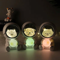 Astropets™️ - LED Nachtlichter - Waagemann