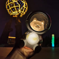 Astropets™️ - LED Nachtlichter - Waagemann