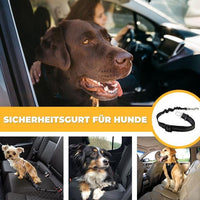 Auto-Sicherheitsgurt für Hunde (STVO Konform) - Waagemann