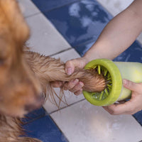 Cleverer Pfotenreiniger für Hunde - Waagemann