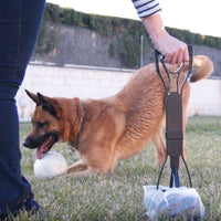 Faltbarer Komfort Hundehaufen-Greifer - Waagemann