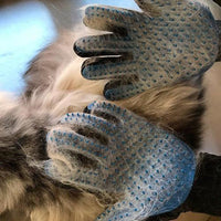 Haustier Enthaarungs & Pflegehandschuhe - Waagemann