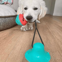 Hunde-Saugnapf-Spielzeug - Waagemann