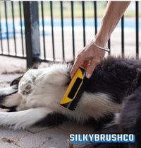 SilkyBrush - Waagemann