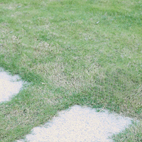 Solarbetriebene Gartenleuchte im klassischen Vintage-Stil (2er Set) - Waagemann