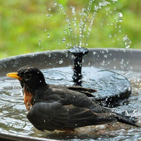 Solarbetriebener Wasserspeier - Waagemann